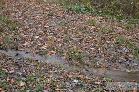 1775 Roundabout Rd, Creston, NC 28615 photo 6