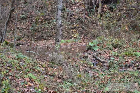 1775 Roundabout Rd, Creston, NC 28615 photo 2