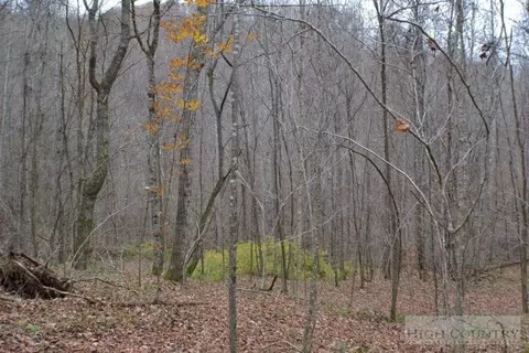 1775 Roundabout Rd, Creston, NC 28615 photo 8