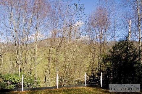 1205 Jerd Branch Rd, Lansing, NC 28643 photo 4
