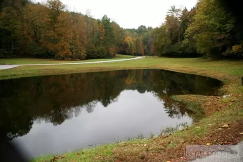 775 Meadow Rd, Ferguson, NC 28624 photo 7