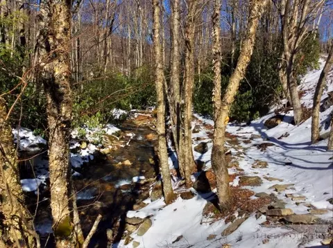 267 Greenbriar Rd, Beech Mountain, NC 28604 photo 3