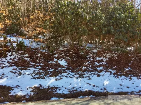267 Greenbriar Rd, Beech Mountain, NC 28604 photo 2