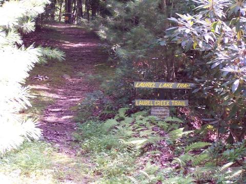 121 Hickory Knob, Deep Gap, NC 28618 photo 26