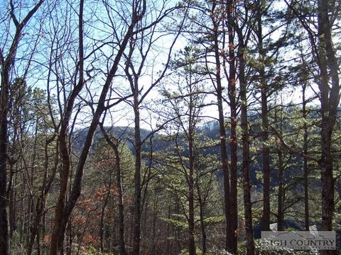 121 Hickory Knob, Deep Gap, NC 28618 photo 37
