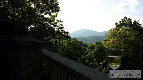 843 Forestridge Dr, Boone, NC 28607 photo 28