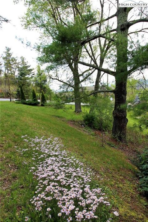746 Stadium Dr, Boone, NC 28607 photo 8