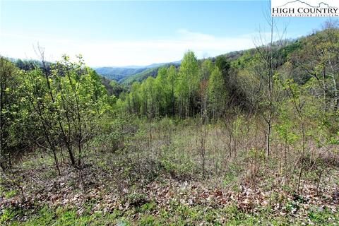 2281 Phillips Branch Rd, Vilas, NC 28692 photo 9