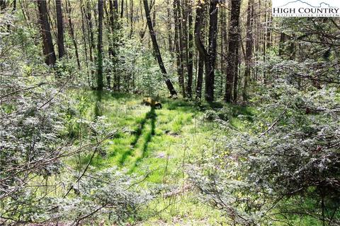 2281 Phillips Branch Rd, Vilas, NC 28692 photo 12