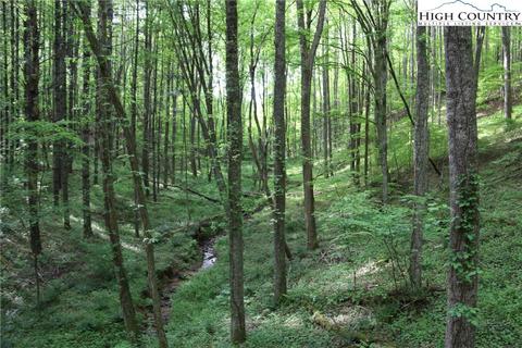 314 Four Coves Trl, Crumpler, NC 28617 photo 19