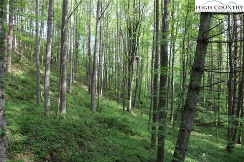 314 Four Coves Trl, Crumpler, NC 28617 photo 21