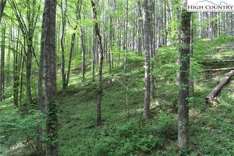 314 Four Coves Trl, Crumpler, NC 28617 photo 20