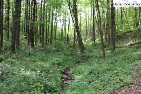 314 Four Coves Trl, Crumpler, NC 28617 photo 3