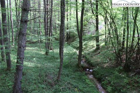 314 Four Coves Trl, Crumpler, NC 28617 photo 22