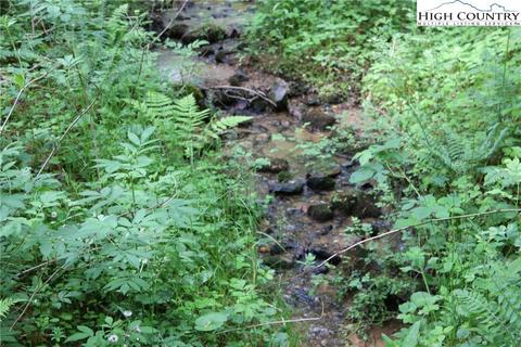 314 Four Coves Trl, Crumpler, NC 28617 photo 2