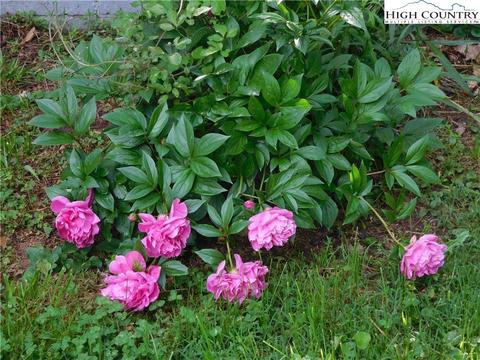 119 Estep St, Sparta, NC 28675 photo 24