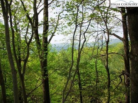 1292 Ben Miller Rd, Deep Gap, NC 28618 photo 25