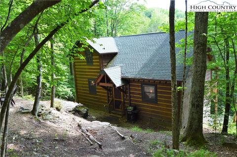 119 Woodland Rd, Beech Mountain, NC 28604 photo 1