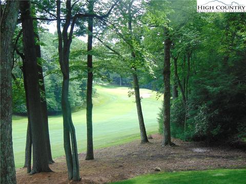 235 Deer Run, Roaring Gap, NC 28668 photo 10