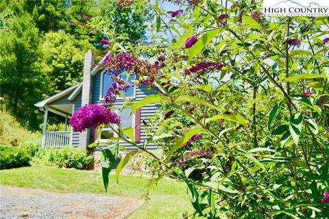 353 Clark Swift Rd, Vilas, NC 28692 photo 43