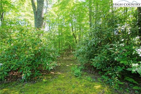 299 Streamside Ln, Seven Devils, NC 28604 photo 31