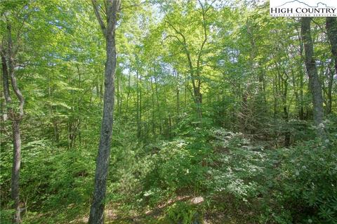 299 Streamside Ln, Seven Devils, NC 28604 photo 32