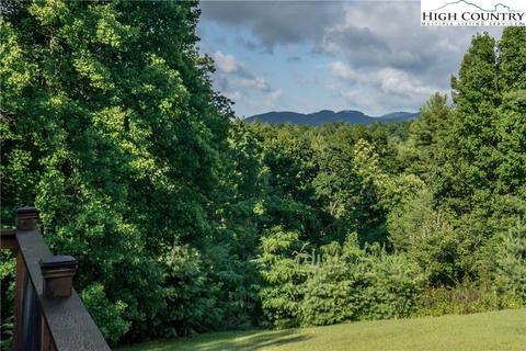 741 Wildcat Rdg, Deep Gap, NC 28618 photo 12