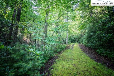 741 Wildcat Rdg, Deep Gap, NC 28618 photo 34