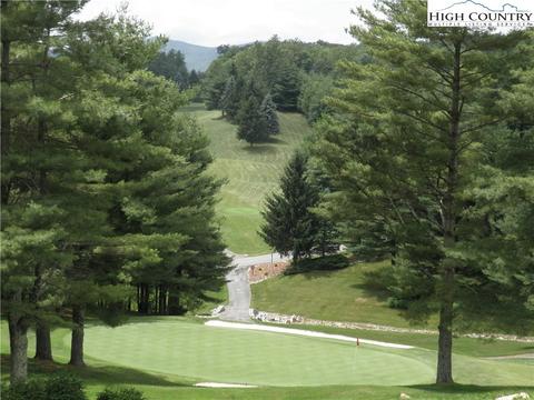 133 Wimbledon Dr, Roaring Gap, NC 28668 photo 8