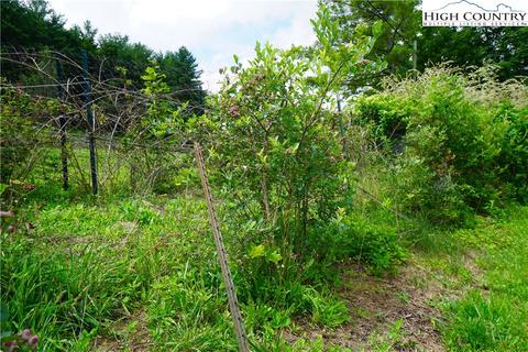 5984 Old 421 S Hwy, Deep Gap, NC 28618 photo 24