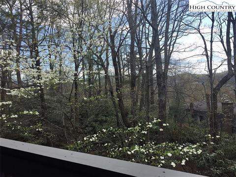 166 Arbor Ln, Boone, NC 28607 photo 5
