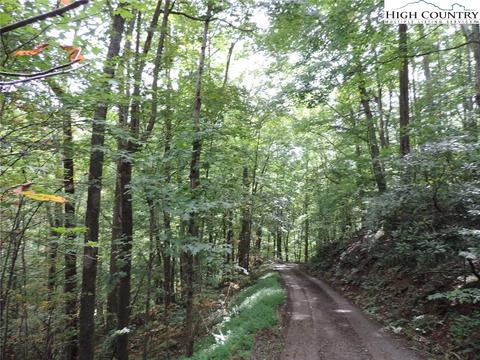 451 Walnut Ln, Vilas, NC 28692 photo 29
