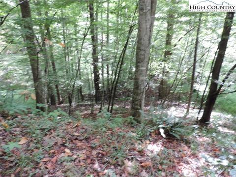 451 Walnut Ln, Vilas, NC 28692 photo 30