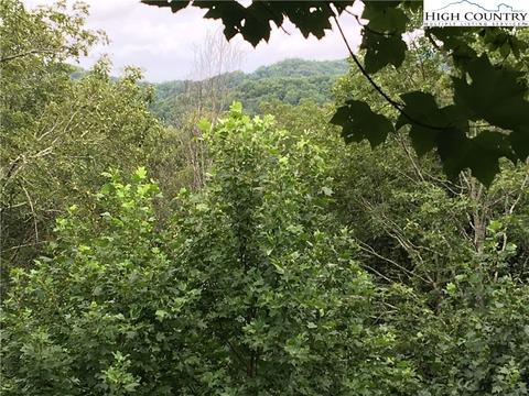 219 Upper Fiddlestix, Boone, NC 28607 photo 22