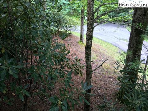 219 Upper Fiddlestix, Boone, NC 28607 photo 19