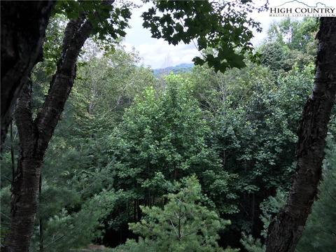 219 Upper Fiddlestix, Boone, NC 28607 photo 21