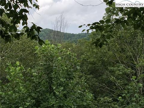 219 Upper Fiddlestix, Boone, NC 28607 photo 18