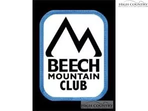 337 Locust Ridge Rd, Beech Mountain, NC 28604 photo 1