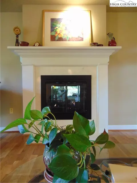 100 Pine Tree Dr, Roaring Gap, NC 28668 photo 19