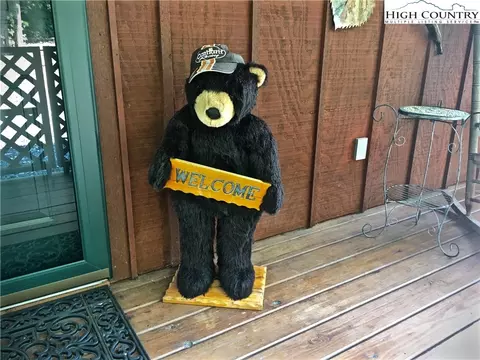 448 Woodpecker Rd, Purlear, NC 28665 photo 9