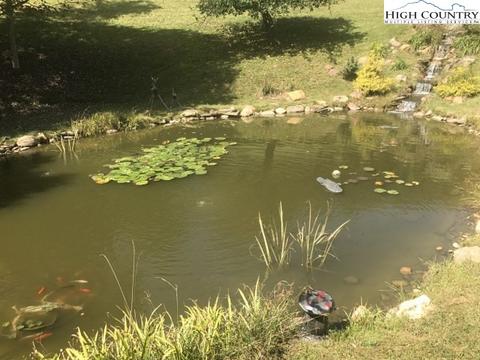 1175 Low Gap Rd, Jefferson, NC 28640 photo 9