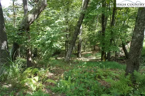 150 Merrywether Ln, Boone, NC 28607 photo 4