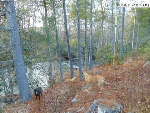 245 Eastern Air Ln, Sparta, NC 28675 photo 15