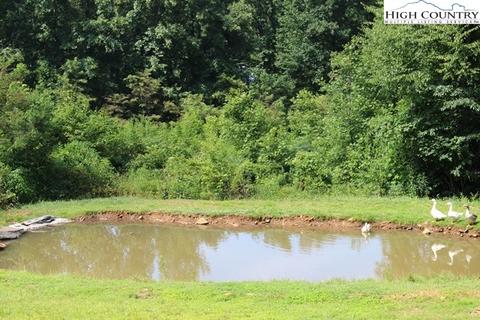 302 Spring Mountain Trl, Lansing, NC 28643 photo 3