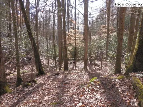 tbd Range Branch Rd, Purlear, NC 28665 photo 3