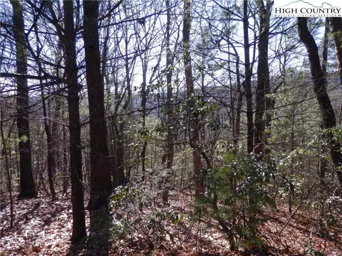tbd Range Branch Rd, Purlear, NC 28665 photo 10