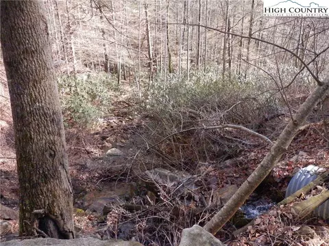 tbd Range Branch Rd, Purlear, NC 28665 photo 7