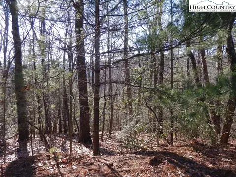tbd Range Branch Rd, Purlear, NC 28665 photo 8