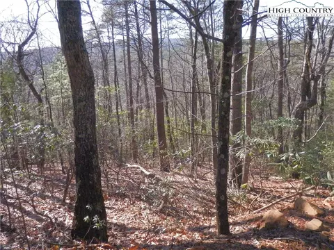 tbd Range Branch Rd, Purlear, NC 28665 photo 9