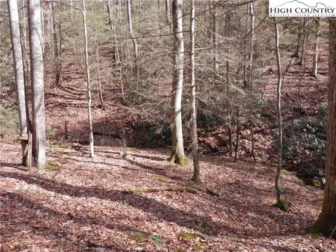 tbd Range Branch Rd, Purlear, NC 28665 photo 2